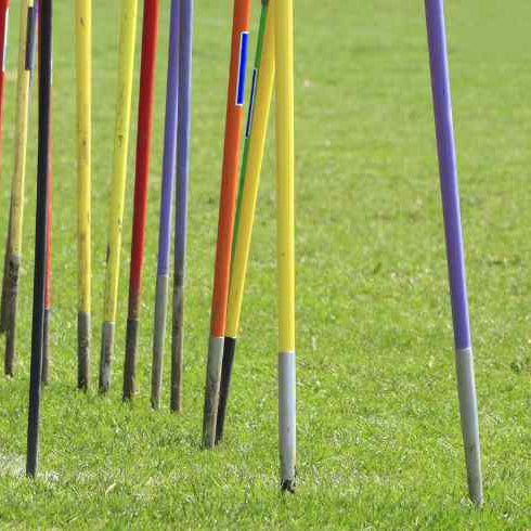 Range of javelins