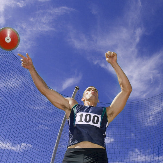How to change the sideplates and maintain a discus