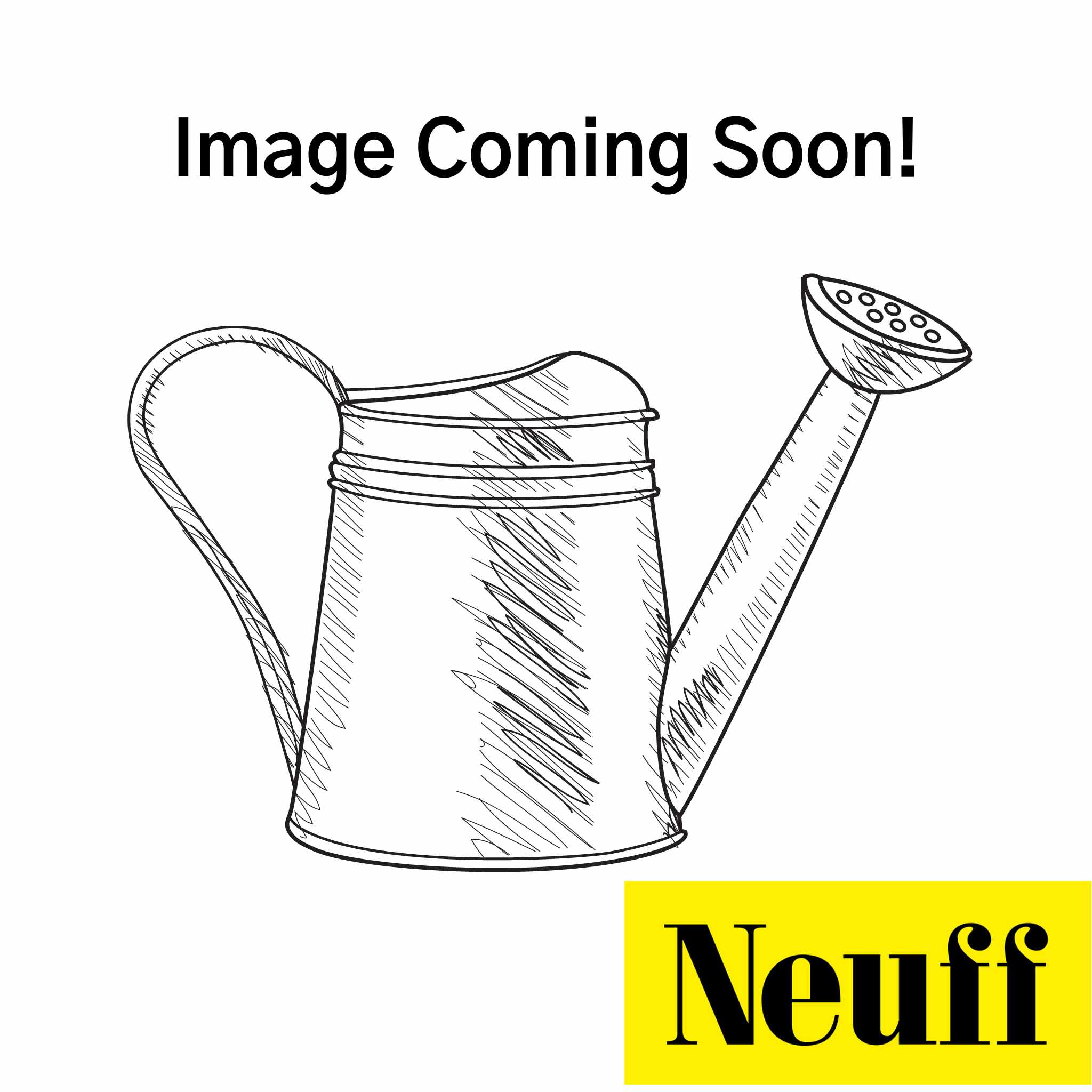 watering can image | for sand pits